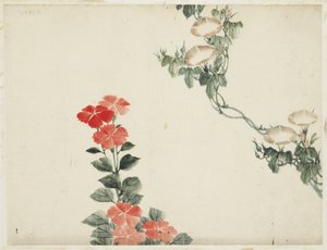 Gloire du matin et fleurs rouges - Katsushika (school of) Hokusai