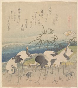 Ashi Clam, tiré de la série « Genroku Kasen Kai-awase »