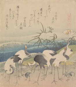 Palourde Ashi, de la série Genroku Kasen Kai-awase, 1821