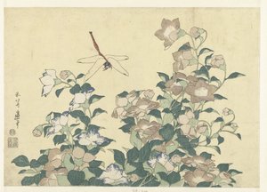 Campanule et libellule - Katsushika Hokusai
