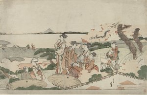 Admiration des fleurs de cerisier à Gotenyama