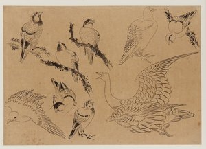 Oiseaux, période Edo, fin du XVIIIe-début du XIXe siècle - Katsushika Hokusai