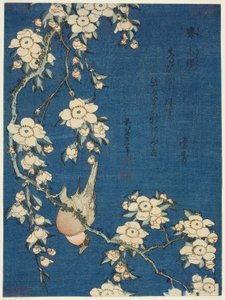 Bouvreuil et cerisier pleureur (Uso, shidarezakura), d