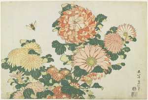 Chrysanthèmes et taon, vers 1832 - Katsushika Hokusai