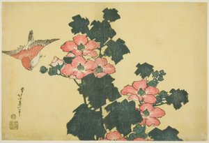 Roses de Coton et Moineau, d