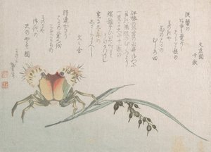 Crabe et plante de riz, 19e siècle - Katsushika Hokusai