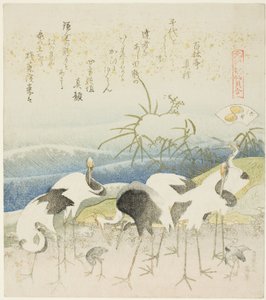 Grues au bord de la mer, illustration pour La Coquille de la Jambe (Ashigai), de la série "Un jeu d