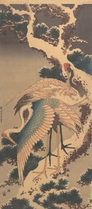 Grues sur une branche de pin enneigée, fin des années 1820