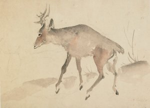 Cerf, fin 18e-début 19e siècle