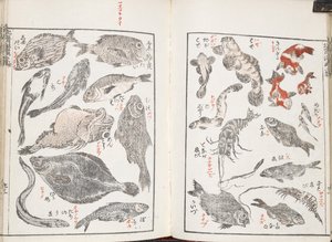 Poissons et créatures marines - Katsushika Hokusai