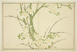 Fleurs, du Livre d