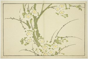 Fleurs, du Livre d
