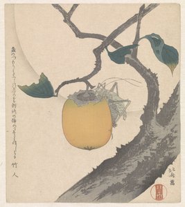 Fruit de kaki avec sauterelle - Katsushika Hokusai