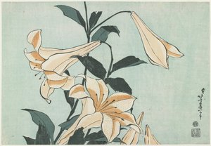 Lys, vers 1832