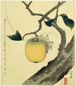 Lune, kaki et sauterelle, 1807 - Katsushika Hokusai