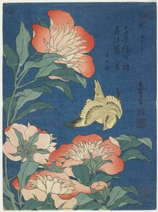 Pivoines et canari, vers 1833 - Katsushika Hokusai
