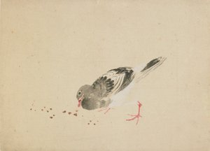 Pigeon, fin du XVIIIe-début du XIXe siècle