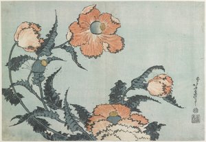 Coquelicots, vers 1832 - Katsushika Hokusai
