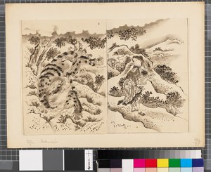 Scènes de la guerre entre le Japon et la Corée, fin du XVIIIe-première moitié du XIXe siècle - Katsushika Hokusai