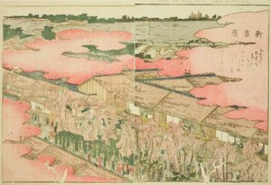 Shin Yoshiwara, du livre illustré "Livre d