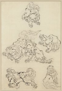 Six Lions
