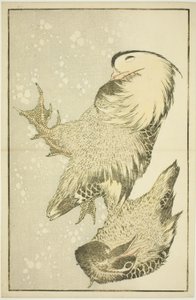 Deux oiseaux aquatiques, du Livre d