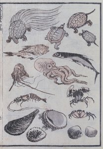 Créatures sous-marines, d