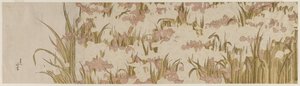 Iris blancs et violets, début des années 1800