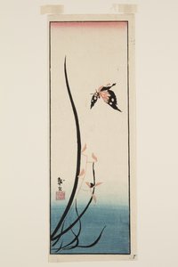 Papillon et herbe - Katsushika II (fl.1820 50) Taito