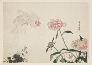 Coqs à longue queue parmi les fleurs (estampe sur bois en couleur) - Katsushika II (fl.1820 50) Taito