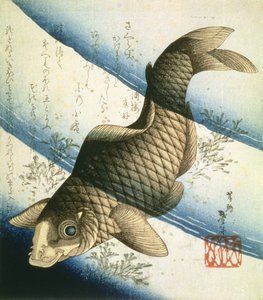 Une carpe nageant parmi les herbes aquatiques, vers 1832 - Katsushika II Taito