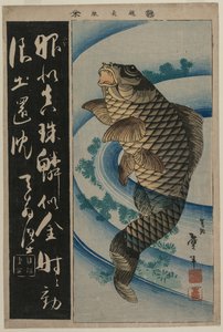 Carpes et herbes aquatiques, début des années 1830