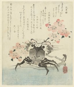 Crabe avec fleur de cerisier - Katsushika Taito II