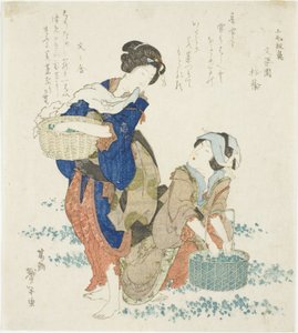 Deux femmes cueillant des herbes - Katsushika Taito II