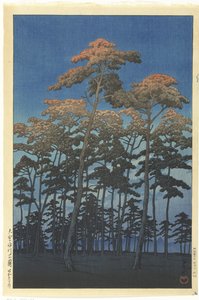 Parc Hikawa à Omiya - Kawase Hasui