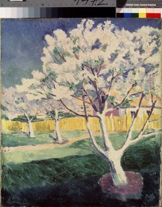 Paysage d