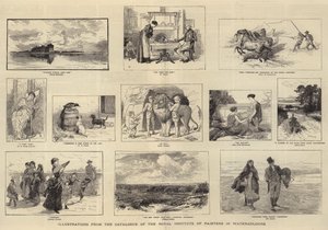 Illustrations du catalogue de l