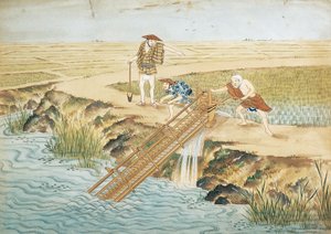 Pays-Bas, Leyde, Travail dans les rizières - Keiga Kawahara