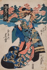 Fleurs de cerisier à Mukojima