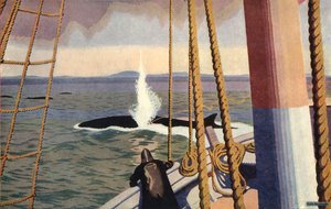 Chasse à la baleine en Antarctique
