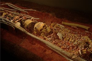 Archéologie; Hominidé; Hominin; Évolution humaine - Homo sapiens sapiens; Évolution humaine; Âge de glace, 2000 (photo) - Kenneth Garrett