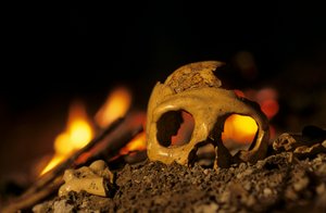 DOH ; Néandertaliens de 130 000 ans, crâne d