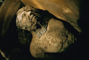 Égypte; Archéologie; Ancien Empire; Saqqara; Momie; Nefer; Tombe, 5e Dynastie - Kenneth Garrett