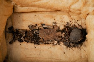 Momie fœtale, enfant du roi Toutankhamon, Fœtus 1, femelle, de KV62, actuellement à Qasi Aini Ho, 2009