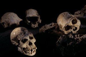 Quatre crânes de Dmanisi, Dmanisi, Géorgie, site Homo Erectus - Kenneth Garrett