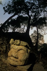 Dieu N, arbre Ceiba, temple, Maya, Copan, Honduras, période classique - Kenneth Garrett