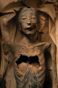 Momie de la mère du roi Toutankhamon (connue sous le nom de la Dame plus jeune)