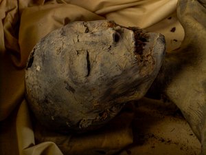 Momie de la mère du roi Toutankhamon (connue sous le nom de la Dame Jeune)
