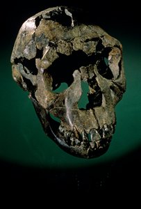 Garçon de Turkana, Kenya, Lac Turkana - Kenneth Garrett