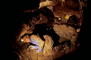 Qui étaient les premiers Américains, Timothy Heaton, fouillant, Dans la grotte On your Knees, Prince of Wales Island, Alaska, 2008 (photo) - Kenneth Garrett